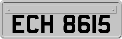 ECH8615