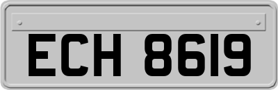 ECH8619