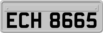 ECH8665