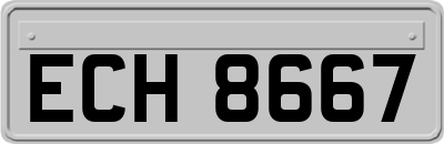 ECH8667