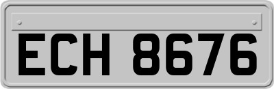 ECH8676
