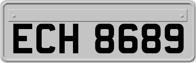 ECH8689