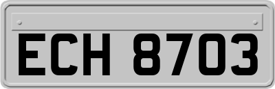 ECH8703