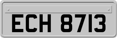 ECH8713