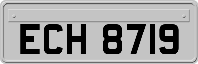ECH8719