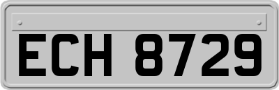 ECH8729