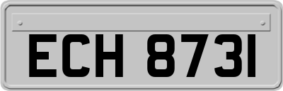 ECH8731