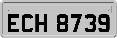 ECH8739