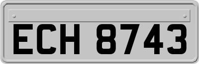 ECH8743
