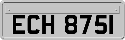 ECH8751
