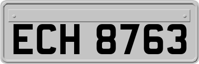 ECH8763