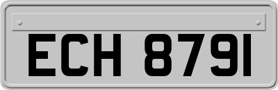 ECH8791