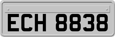 ECH8838