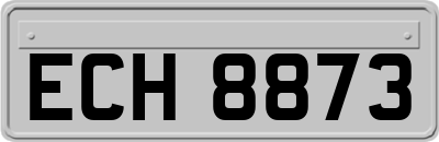 ECH8873