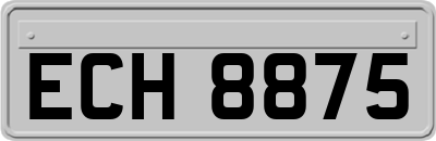 ECH8875