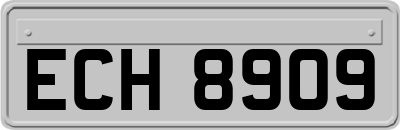 ECH8909