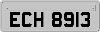 ECH8913
