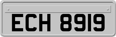 ECH8919
