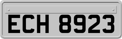 ECH8923
