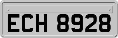 ECH8928