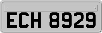 ECH8929
