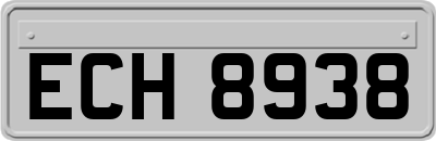 ECH8938