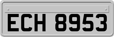 ECH8953