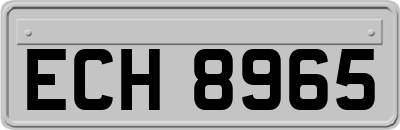 ECH8965