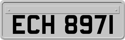 ECH8971