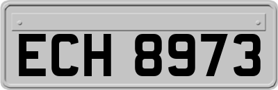 ECH8973
