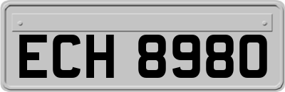 ECH8980