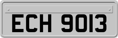 ECH9013