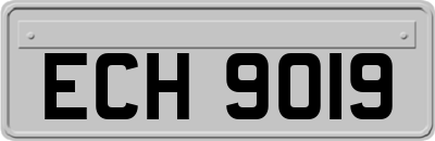ECH9019