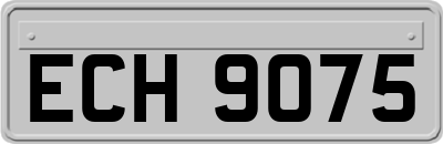 ECH9075