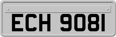 ECH9081