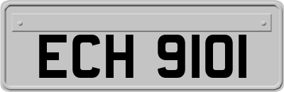 ECH9101