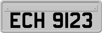 ECH9123