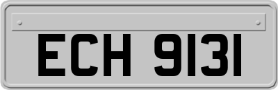 ECH9131