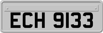ECH9133