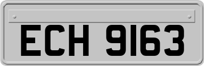 ECH9163