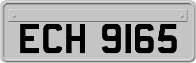 ECH9165