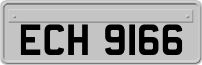 ECH9166