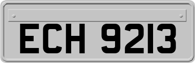 ECH9213