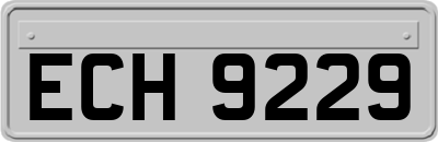 ECH9229