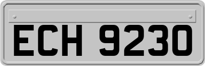ECH9230
