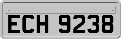 ECH9238