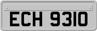 ECH9310