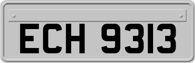 ECH9313