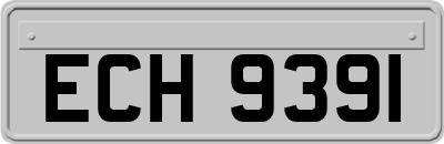 ECH9391