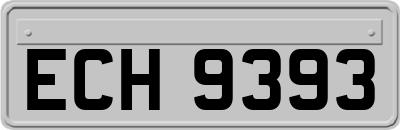 ECH9393